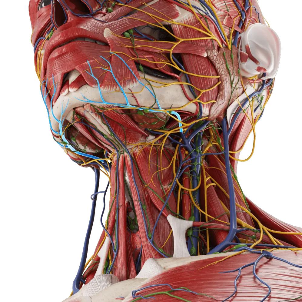 InstitutionalSubscriptionHeroImage