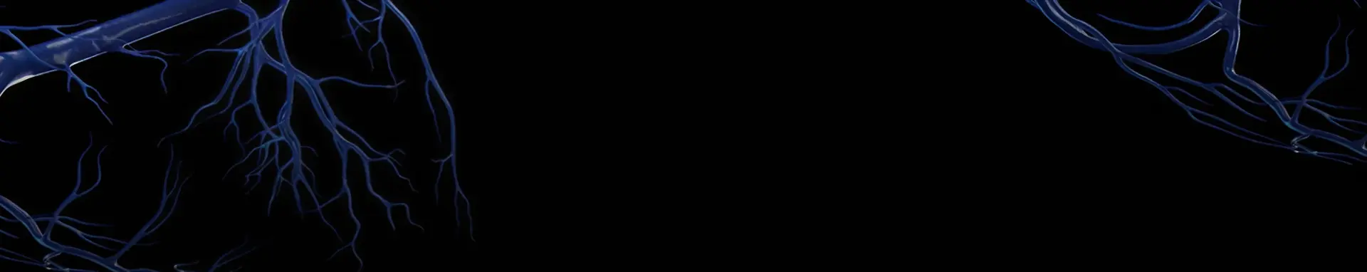 Hero banner